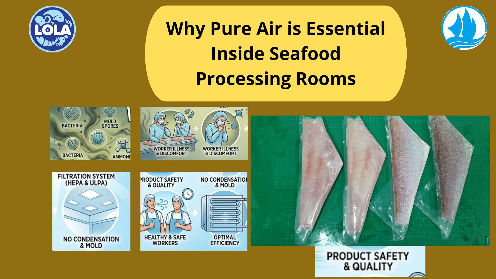  Why Pure Air is Essential Inside Seafood Processing Rooms